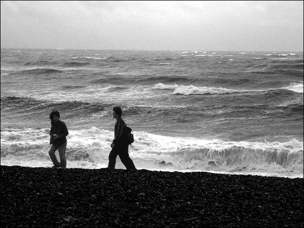 tourists on brighton beach