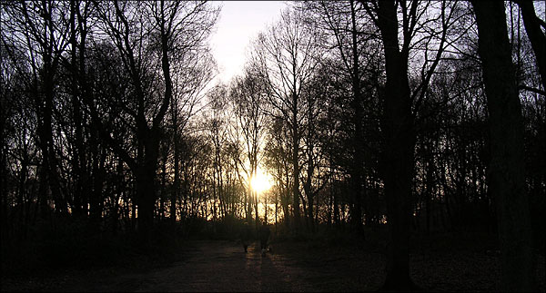 walkers on chorleywood common